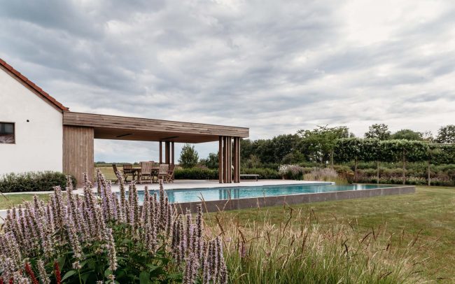 Moderne landschapstuin met modern poolhouse in padouk en biozwembad